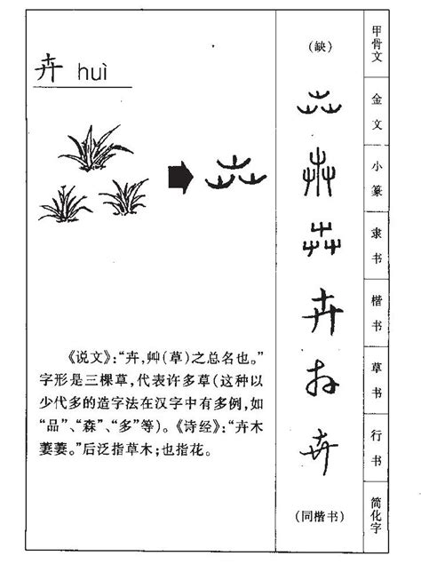 卉名字意思|卉的意思